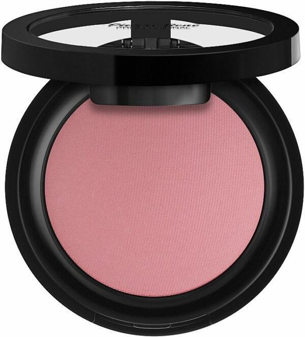 COLORETE ROUGE POWDER 09 DELICATE PINK PIERRE RENÉ