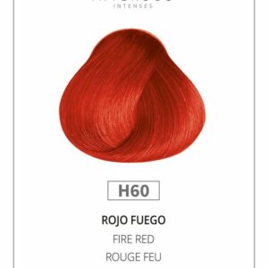 HIDRA COLOR NºH60 YASNGUAS