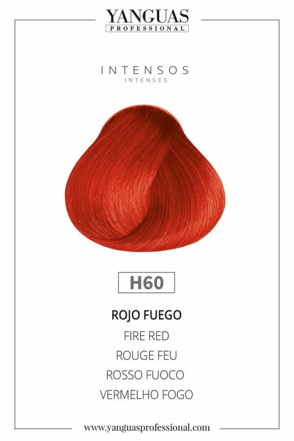 HIDRA COLOR NºH60 YASNGUAS