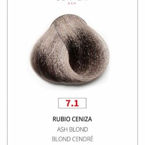 TINTE Nº7.1 YANGUAS