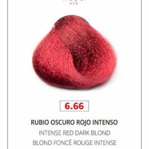 TINTE Nº6.66 YANGUAS