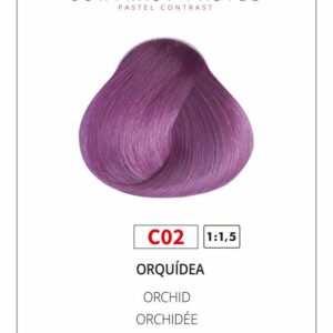 TINTE NºC02 YANGUAS