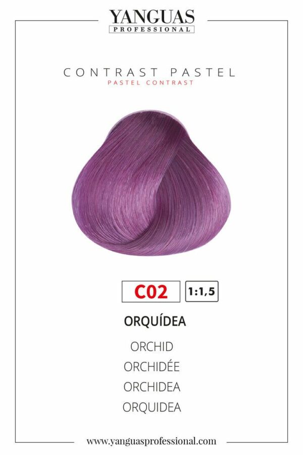 TINTE NºC02 YANGUAS